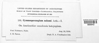 Image Associated With the Occurence